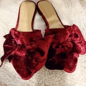Lauren Conrad Velvet Mules ~ Never Worn